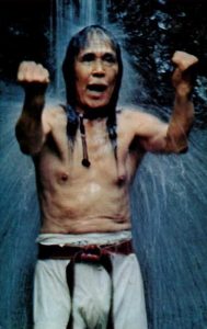 Najbolj znana slika Yamaguchija pod slapom