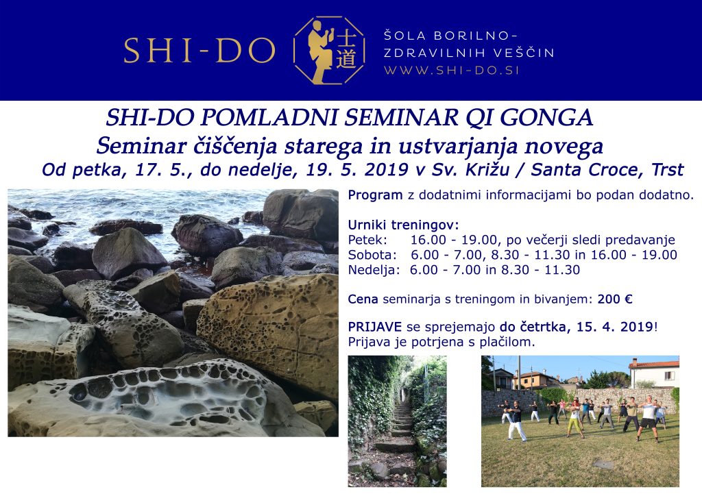 shi-doqi gongi seminar 2019
